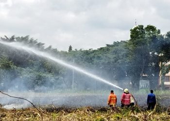 Proses pemadaman kebakaran lahan tebu di Kecamatan Gondanglegi.