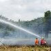 Proses pemadaman kebakaran lahan tebu di Kecamatan Gondanglegi.