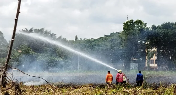 Proses pemadaman kebakaran lahan tebu di Kecamatan Gondanglegi.