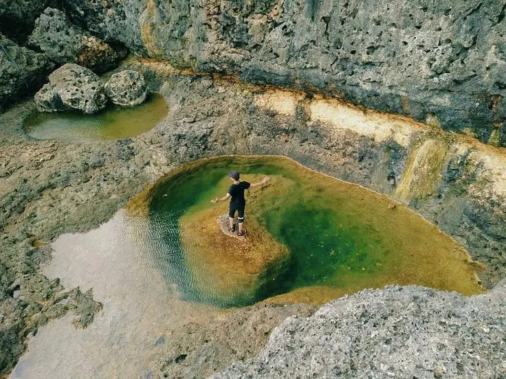 Kebun bunga yang ada di Selecta Malang tampak sangat indah.