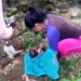 Polisi Amankan Terduga Pelaku Pembuangan Bayi di Tumpang