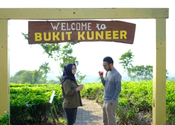 teh - Menikmati Akhir Pekan dengan Minum Teh di Bukit Kuneer Wonosari