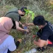 Mahasiswa Manajemen Unikama Aplikasikan Hilirisasi Ecogreen yang Ramah Disabilitas di Wisata Gunung Wedon