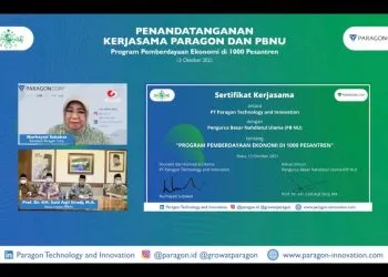 Komisari Paragon