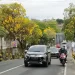 Tabebuya mewarnai tepi jalan di Kota Batu