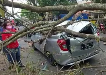 Salah satu mobil yang tertimpa dahan pohon yang patah