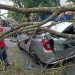 Salah satu mobil yang tertimpa dahan pohon yang patah