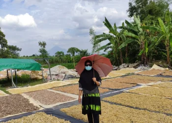 Psikologi, Mbak Happy, dan Manusia Merdeka