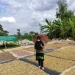Psikologi, Mbak Happy, dan Manusia Merdeka