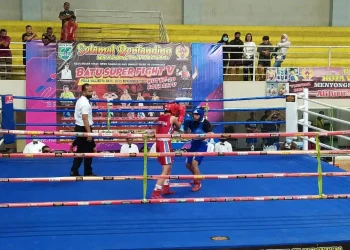 100 Petinju Pria dan Wanita Meriahkan Batu Super Fight V 2021