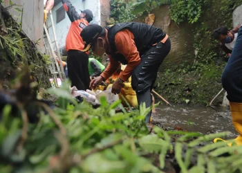 sutiaji - Sutiaji Pimpin Gerakan Angkat Sampah dan Sedimen di Sungai