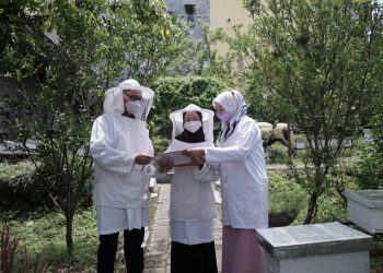 Mahasiswa Fapet Unikama belajar budi daya ternak lebah. Foto: dok