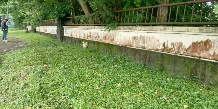 Lokasi kejadian pengeroyokan yang dialami korban di lahan salah satu perumahan di Kecamatan Blimbing, Kota Malang. Foto: M Sholeh