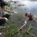 kepanjen - Warga Kepanjen Ditemukan Tewas Mengapung di Sungai Brantas