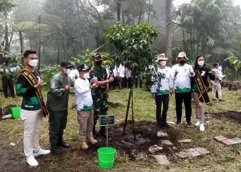 kehutanan - Dinas Kehutanan Jatim Tanam 56 Ribu Bibit Pohon di Hulu Sungai Brantas