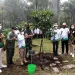 kehutanan - Dinas Kehutanan Jatim Tanam 56 Ribu Bibit Pohon di Hulu Sungai Brantas