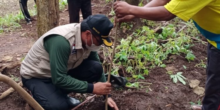 Wakil Wali Kota Malang, Sofyan Edi Jarwoko menanam bibit pohon. Foto: dok Pemkot Malang.