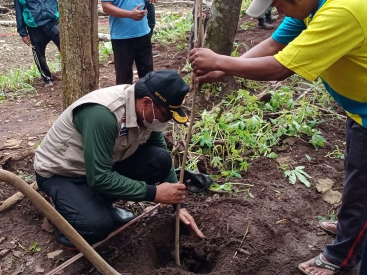 Wakil Wali Kota Malang, Sofyan Edi Jarwoko menanam bibit pohon. Foto: dok Pemkot Malang.