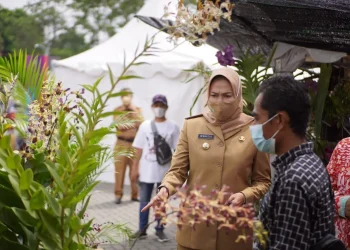 Pameran Angrek di Kota Batu