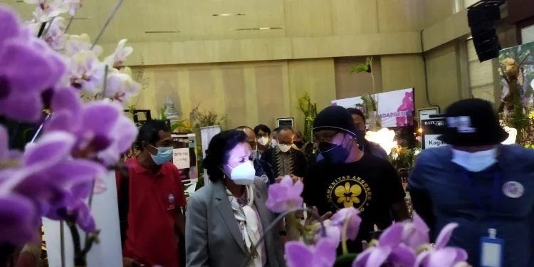 Kota Batu jadi pendorong angrek lokal go internatioanl