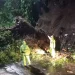 Bencana tanah longsor di Kabupaten Malang