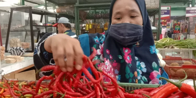 Harga Cabai di kota Malang merangkak naik