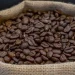 kopi dampit malang