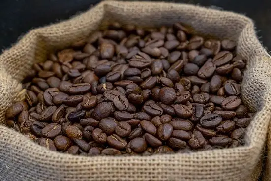 kopi dampit malang