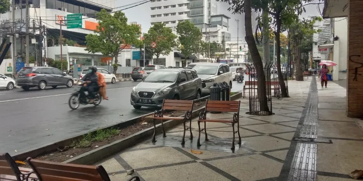 akan ditanami tanaman Tabebuya