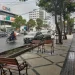 akan ditanami tanaman Tabebuya
