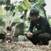 novia - Surat untuk Almarhum Novia Widyasari