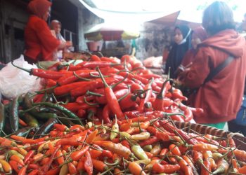 komoditas pangan deflasi di Kota Malang