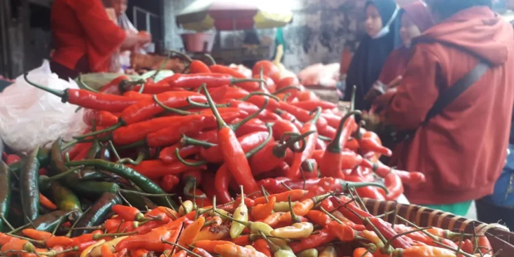 komoditas pangan deflasi di Kota Malang