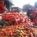komoditas pangan deflasi di Kota Malang