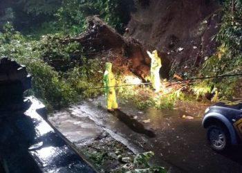 Bencana tanah longsor yang terjadi di Kecamatan Ngajum, Kabupaten Malang, 17 November lalu. Foto: dok