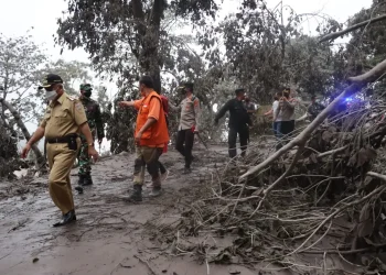 Bupati Malang tinjau desa terdampak erupsi Semeru
