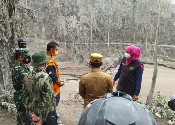 Gubernur Jatim tinjau reruntuhan jembatan gladak perak