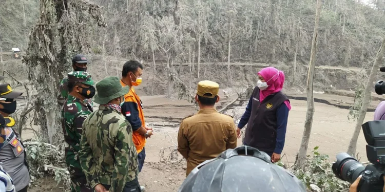 Gubernur Jatim tinjau reruntuhan jembatan gladak perak