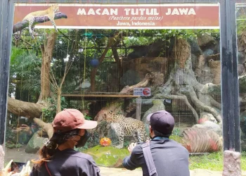 PPKM Kota Batu di Level 1, para pelaku wisata suka cita