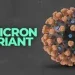 omicron