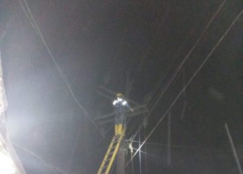 Petugas PLN melakukan pengecekan listrik padam akibat erupsi Gunung Semeru