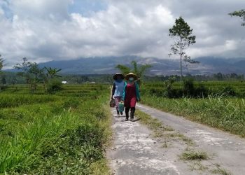 Dua perempuan warga Supiturang, Kecamatan Pronojiwo tengah berjalan dengan latar Gunung Semeru