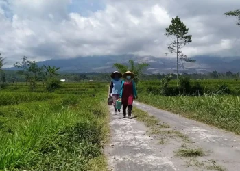 Dua perempuan warga Supiturang, Kecamatan Pronojiwo tengah berjalan dengan latar Gunung Semeru