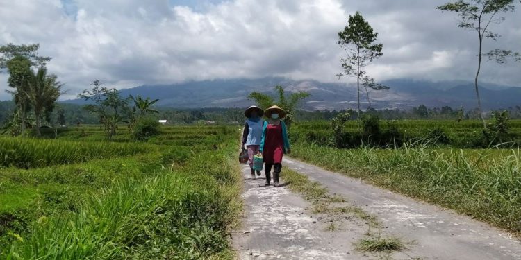Dua perempuan warga Supiturang, Kecamatan Pronojiwo tengah berjalan dengan latar Gunung Semeru