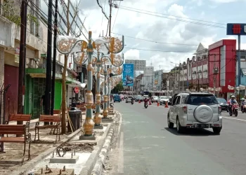 Pohon Tabebuya sudah menghiasi kawasan Kayutangan Heritage