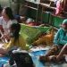 korban erupsi semeru di pengungsian