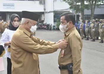 Bupati