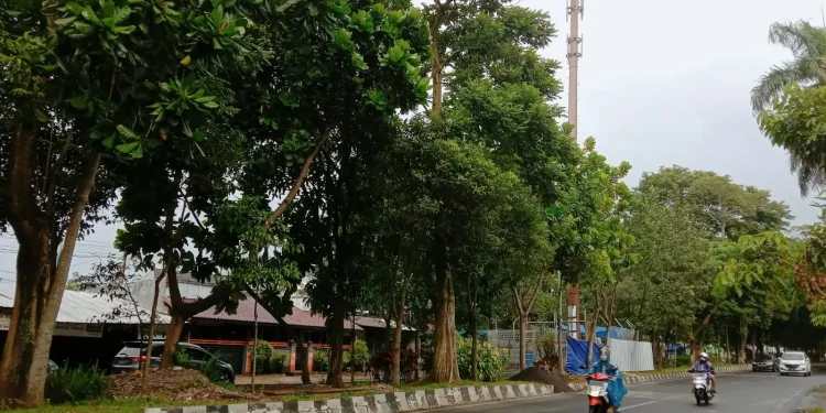 malang - Warga Sukun Sayangkan Pembangunan Tower di Taman