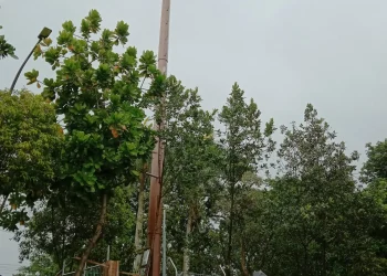 Warga Sukun Sayangkan Pembangunan Tower di Taman