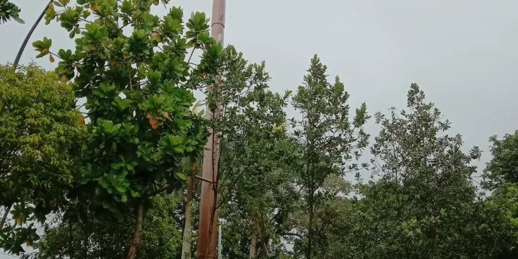 malang - Warga Sukun Sayangkan Pembangunan Tower di Taman